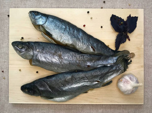 Сом стейк х/к: Форель радужная вяленая